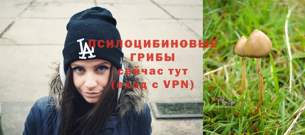 бутират Арсеньев