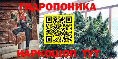 spice Жуковский