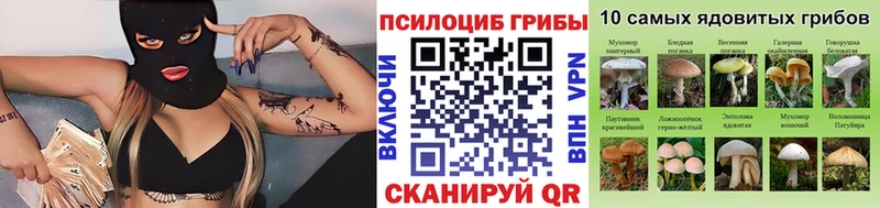 продажа наркотиков  Нижний Тагил  hydra вход  Галлюциногенные грибы Psilocybine cubensis 