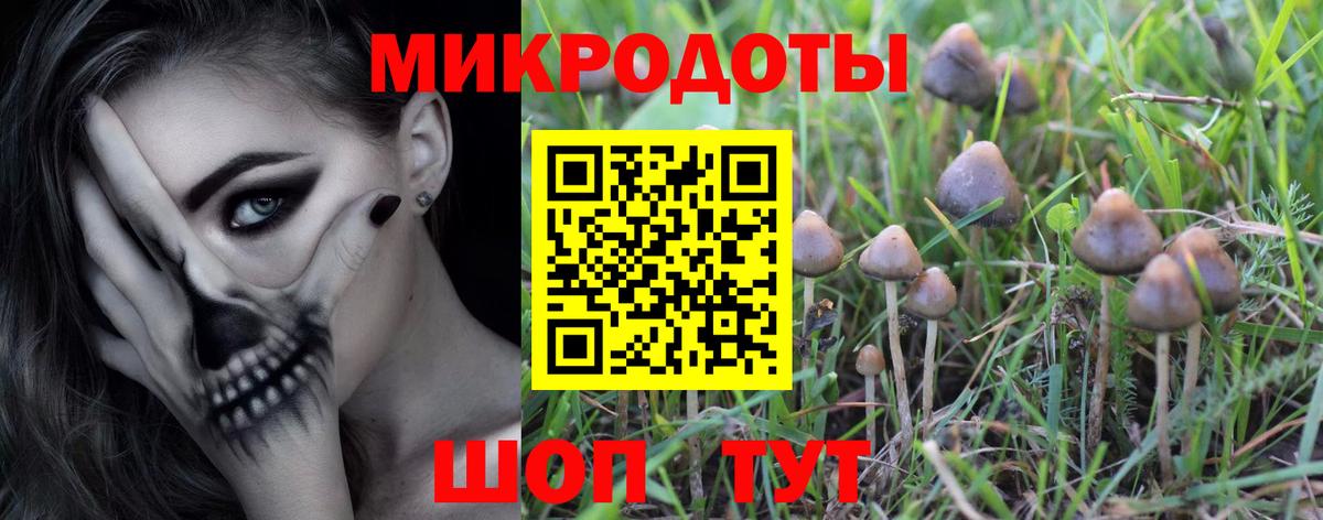 Галлюциногенные грибы MAGIC MUSHROOMS Нижний Тагил